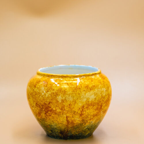 Vaso Anonimo
